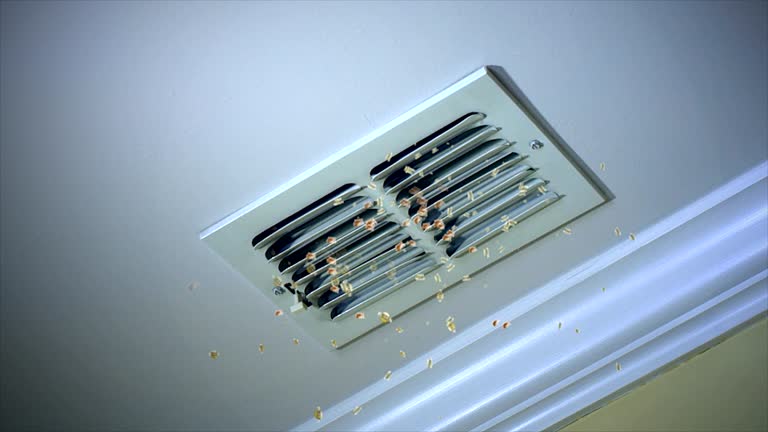 Best Affordable Duct Cleaning Services  in Terre Du Lac, MO